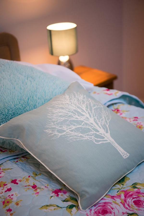 Y Grange Bed & Breakfast Llanfihangel-y-Creuddyn Екстериор снимка